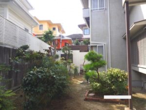 大阪市天王寺区の空き家の庭　剪定後