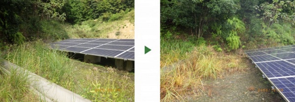 ソーラーシステム一帯の土地12000㎡に除草剤散布　京都府亀岡市