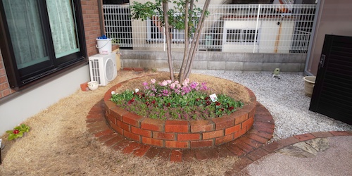 花壇の芝生を花に植え替え|玄関周りが地味なので明るくしたい(大阪市天王寺区)作業後