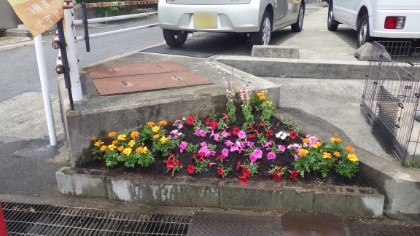 花植栽
