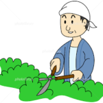 大阪植木剪定絵